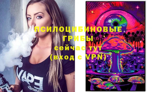 гидра Абинск