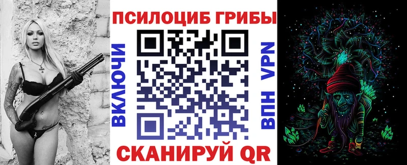 Псилоцибиновые грибы прущие грибы  гидра маркетплейс  Псков  закладки 