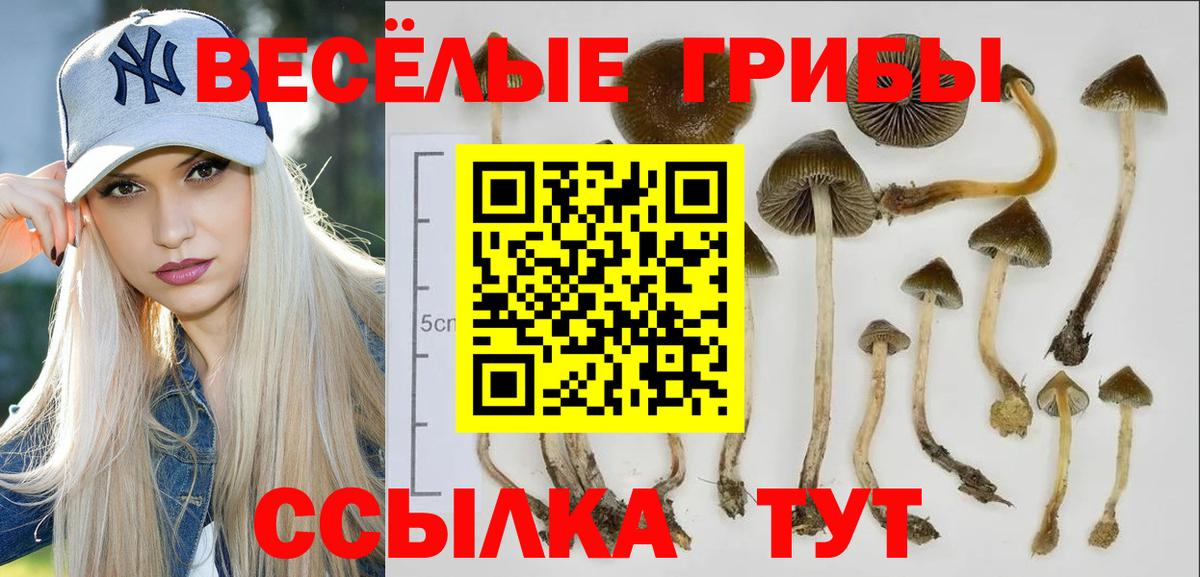 Псилоцибиновые грибы мухоморы Псков