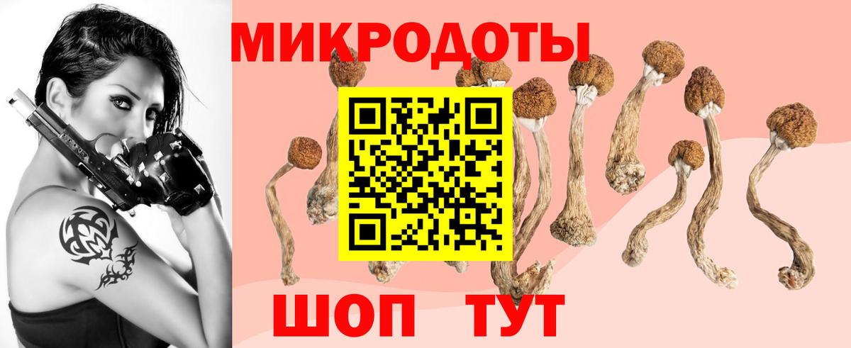 Галлюциногенные грибы прущие грибы  Вход с VPN  Псков 
